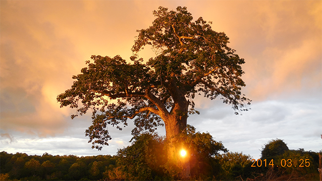 向日葵视频官网海工最美施工攝影作品展（zhǎn）（一）
