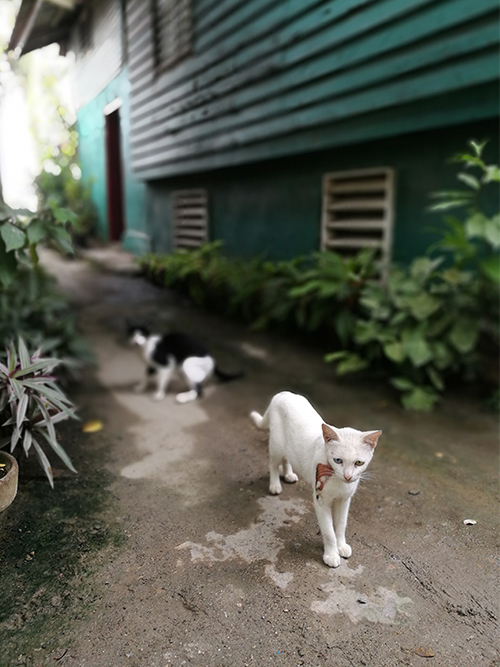 向日葵视频官网海工最美施工（gōng）攝影作（zuò）品（pǐn）展（一）