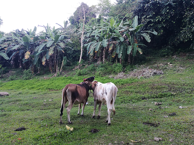 向日葵视频官网海工最（zuì）美施工攝影作品展（一）