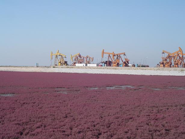 向日葵视频官网海工最美施工（gōng）攝影作品展（一）