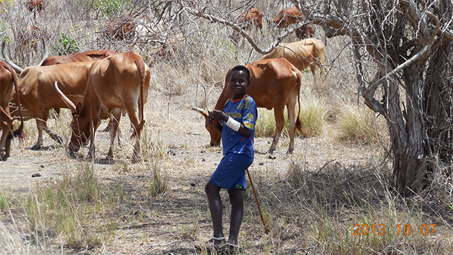 向日葵视频官网海工最美施工攝影作品展（二）