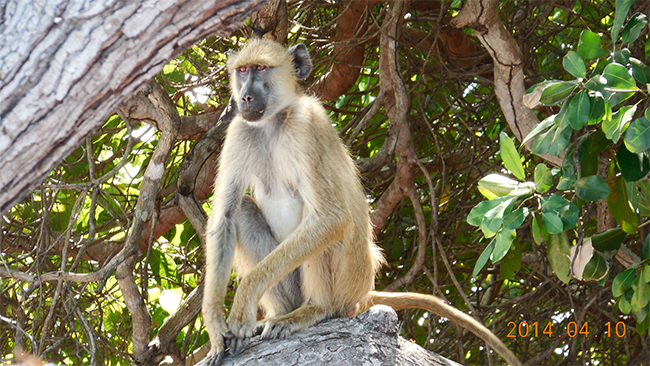 向日葵视频官网海工（gōng）最美施工攝影作品展（二）