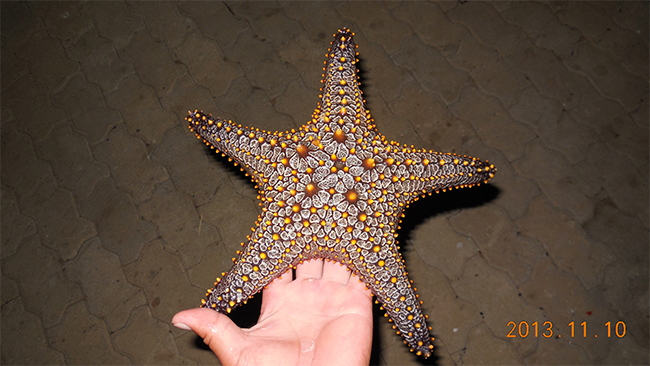 向日葵视频官网海工最美施工（gōng）攝影作品展（二）