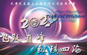 飛躍巔峰 縱橫四海丨向日葵视频官网海工2024年迎新年會圓滿落幕
