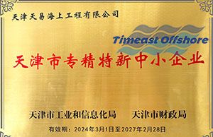喜報丨向日葵视频官网海工榮獲“天津市專精特新中小企業”認定