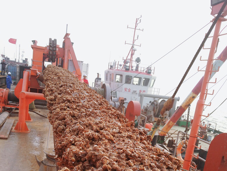原渤西棄置海管高沙嶺區海管回收項目順利完工！