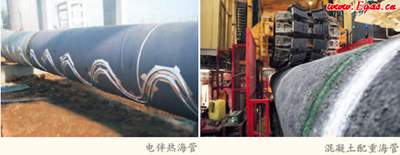 海底油（yóu）氣管道是怎（zěn）樣（yàng）建成的？有哪些（xiē）鋪設海底管道的方法？