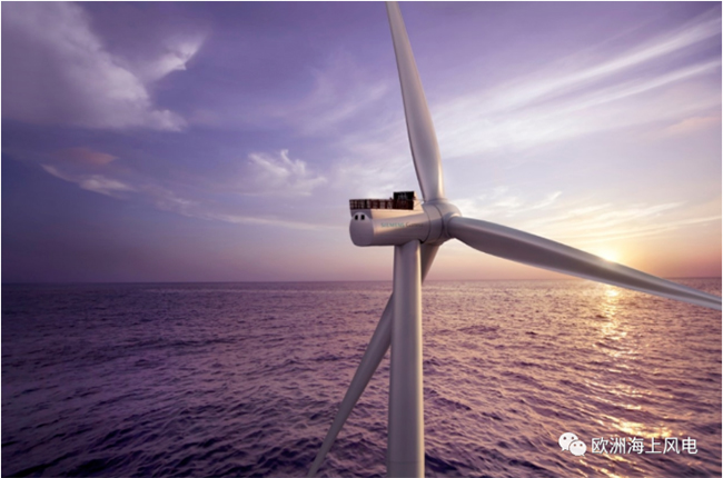 全（quán）球（qiú）首台張（zhāng）力腿浮式風機安裝完（wán）成！