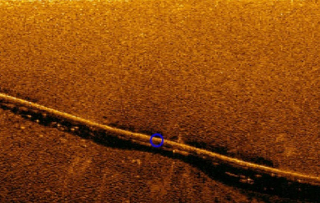 海上風電場海（hǎi）底電纜敷設（shè）路徑（jìng）及埋（mái）深綜合檢測